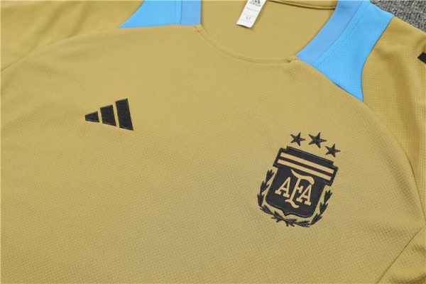 Argentina 2024-2025 Entrenamiento - Imagen 2