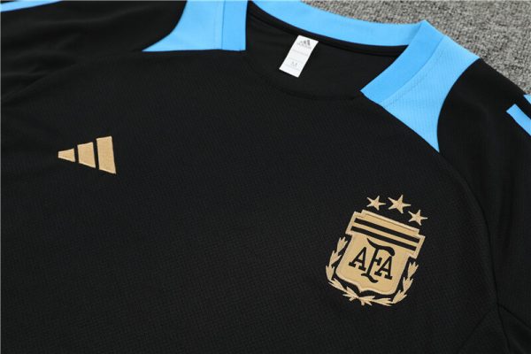 Argentina 2024-2025 Entrenamiento - Imagen 2