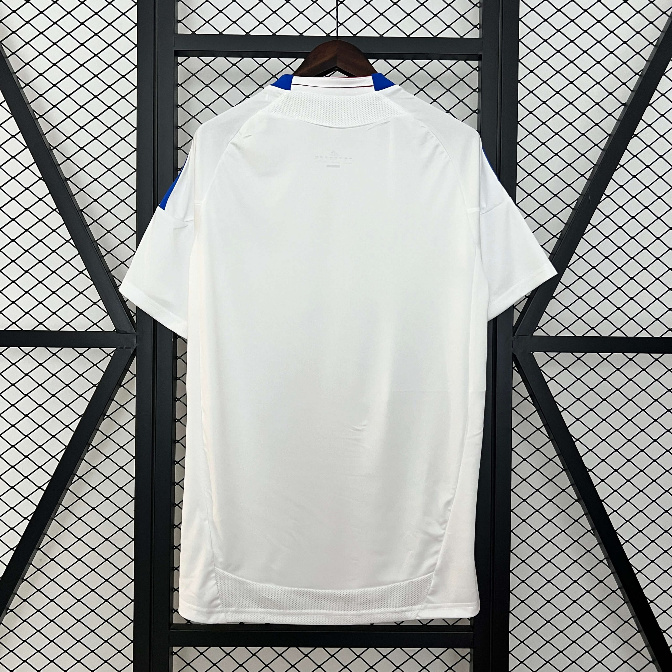 Olympique de Lyon 2010 Home - Imagen 3