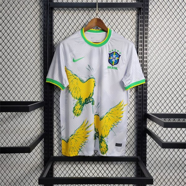 Brasil 2024 Ed. Especial