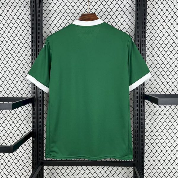 Palmeiras 2025-2026 Home - Imagen 3