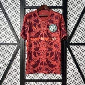 Palmeiras 2025-2026 Portero