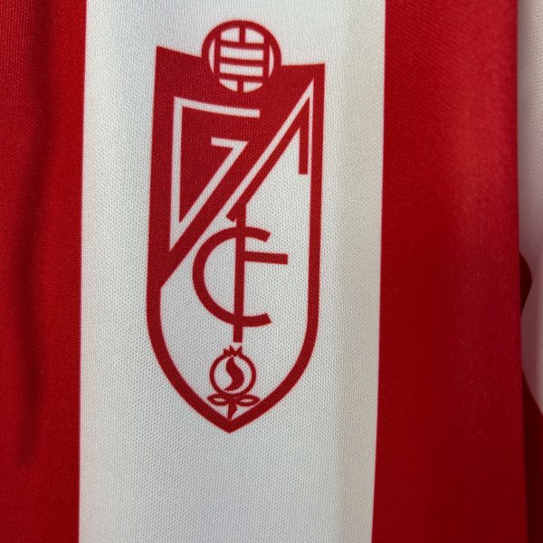 Granada 2005 Home - Imagen 2