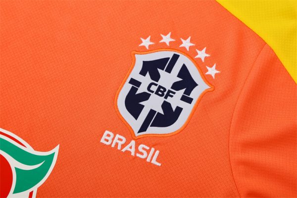 Brasil 2025-2026 Entrenamiento - Imagen 2
