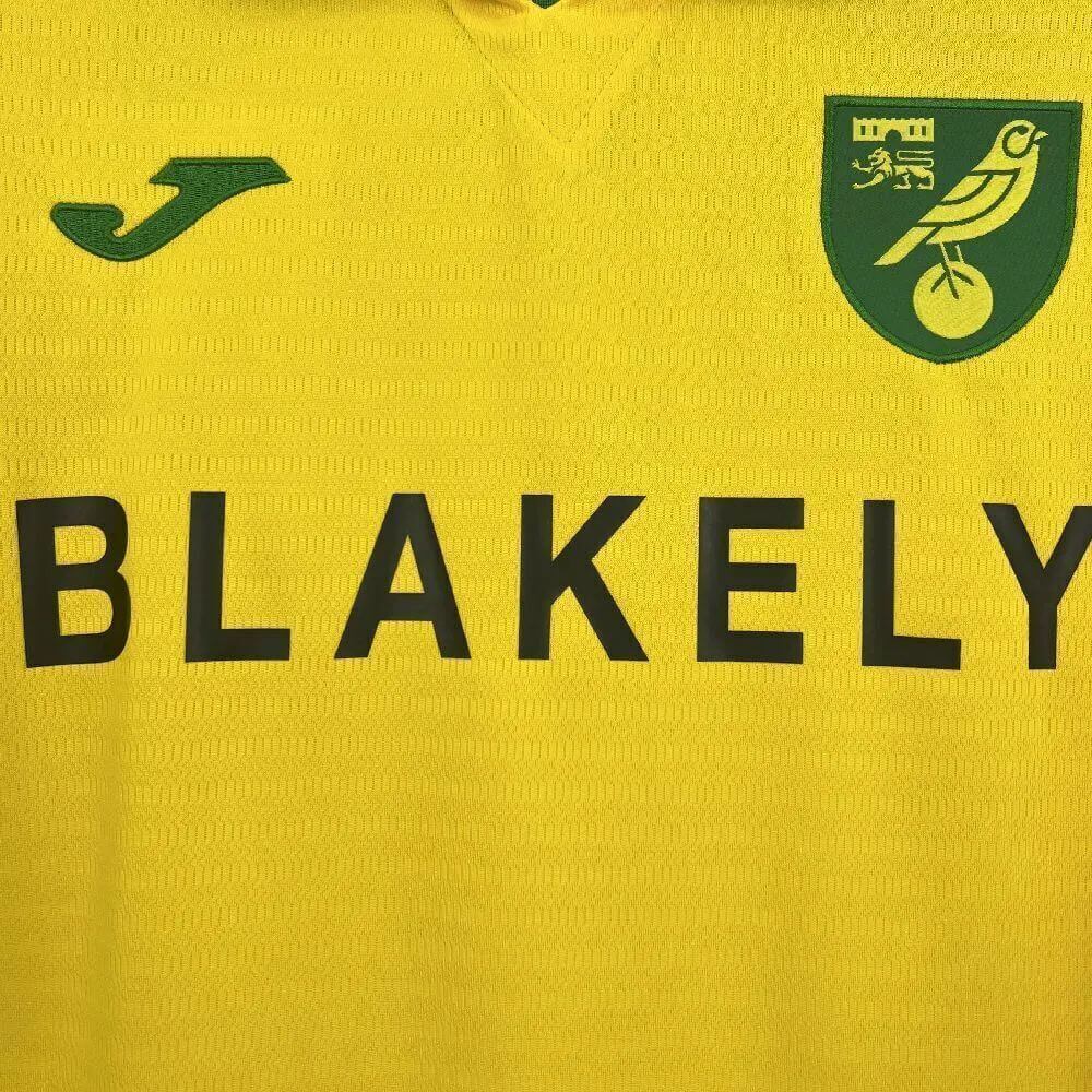 Norwich City 2025-2026 Home - Imagen 2