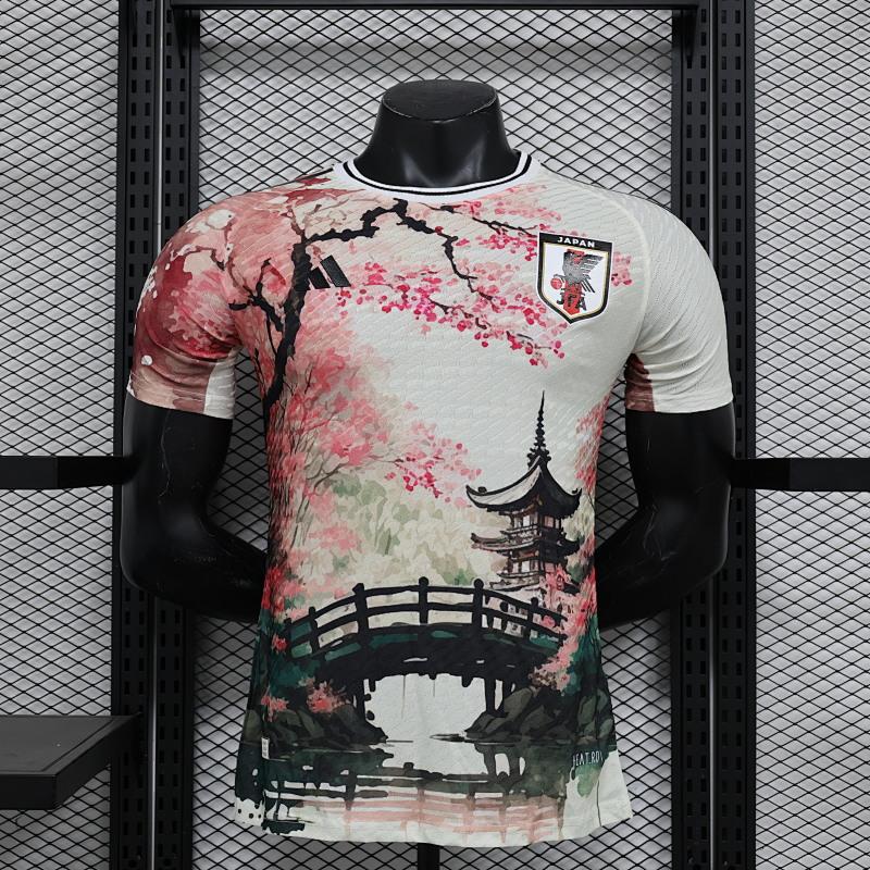 Japón 2024