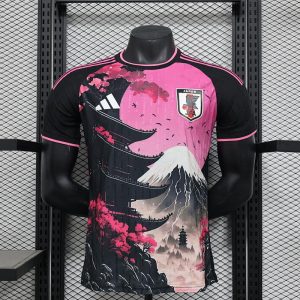 Japón 2025