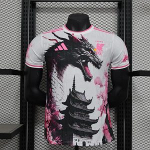 Japón 2025